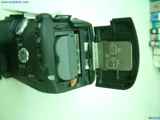 Canon Pro1「圖多」