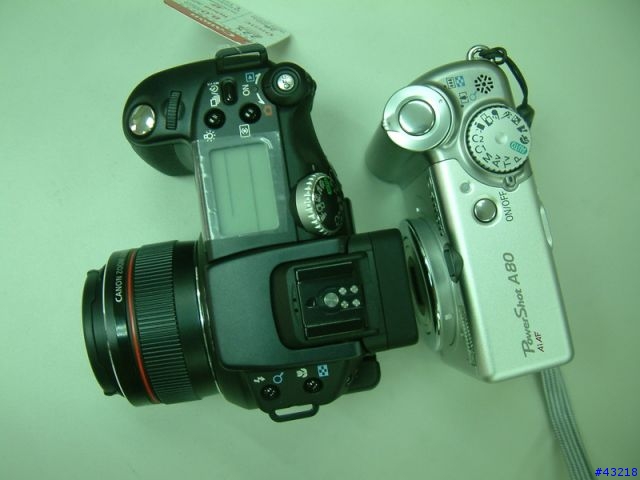 Canon Pro1「圖多」