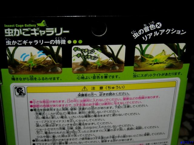 數位昆蟲箱