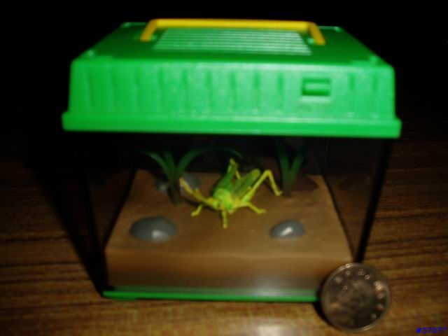 數位昆蟲箱