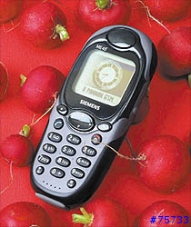 siemens 3618(me45)的一些經典圖片