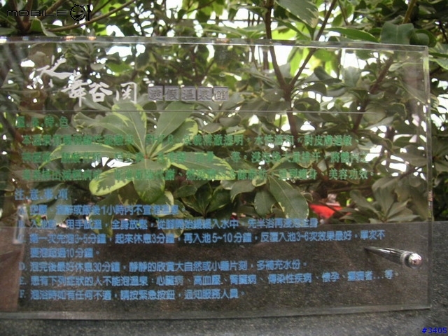 《cat的幸福泡湯日誌》水舞谷關 渡假溫泉館2006/03/11新增水舞谷關餐點相片