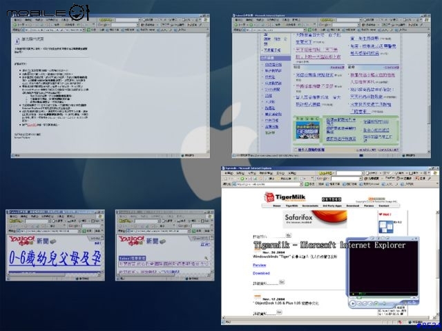 你羨幕Mac上的Expose'嗎?在windows下也能擁有!
