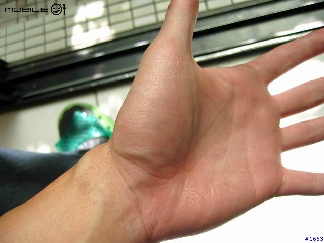 馬路初撞擊!!!感受時速70KM摔車的悽慘!!!