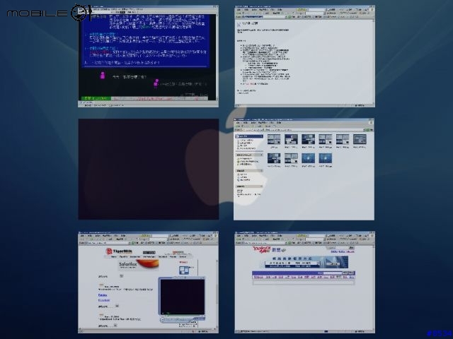 你羨幕Mac上的Expose'嗎?在windows下也能擁有!