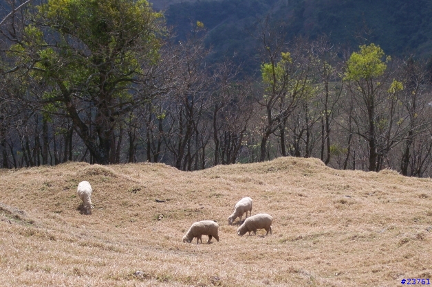 心得-冷飯熱炒-Kodak DX7630