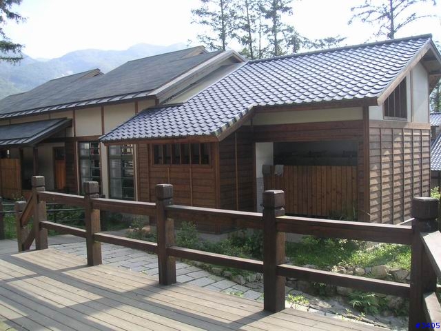 《cat的吃喝玩樂檔案》溪頭、杉林溪二日遊 PartII:位於海拔1300公尺的銀杏森林、台灣最美麗的森林小學