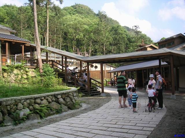 《cat的吃喝玩樂檔案》溪頭、杉林溪二日遊 PartII:位於海拔1300公尺的銀杏森林、台灣最美麗的森林小學