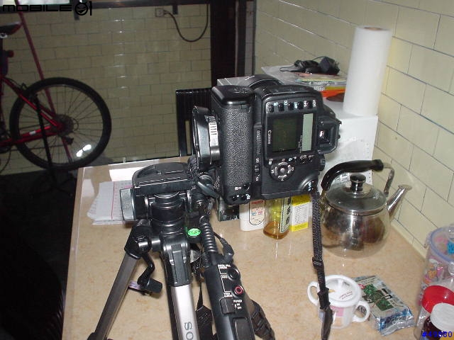 當Canon EOS 350D遇到SONY VCT-D680RM腳架