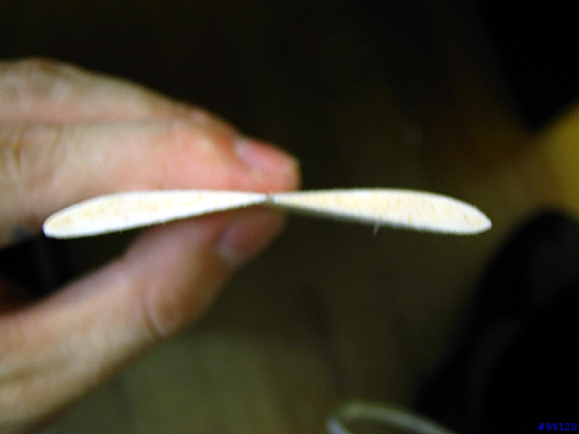 想要漂亮的滑翔機嗎? 自己DIY