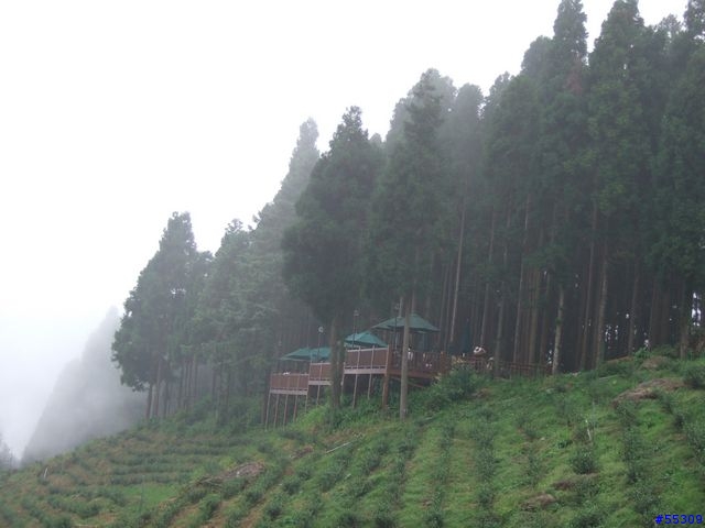山上人家森林農場