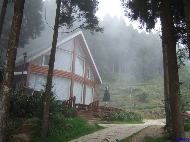 山上人家森林農場