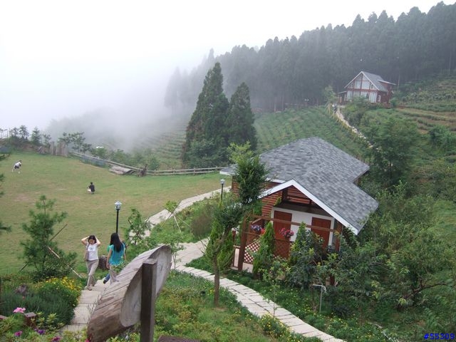 山上人家森林農場