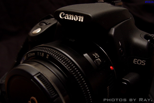 新手升級 DSLR - CANON EOS 350D (圖不少)