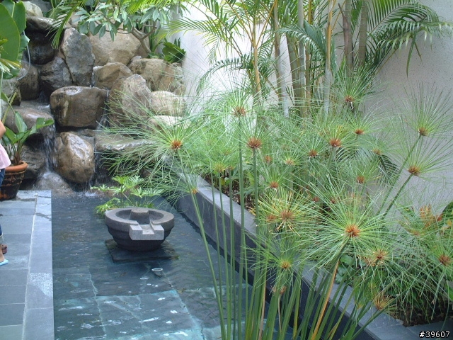 (分享)惠來谷關溫泉會館