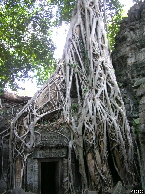 璀璨吳哥 Angkor Wat Before and After-6 (圖多)