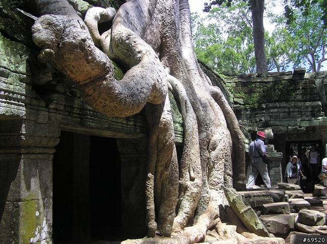 璀璨吳哥 Angkor Wat Before and After-6 (圖多)
