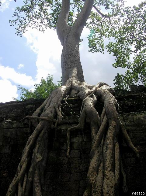 璀璨吳哥 Angkor Wat Before and After-6 (圖多)