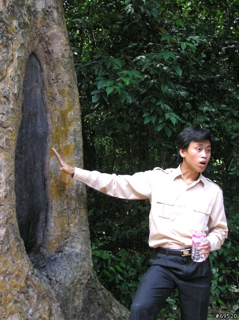 璀璨吳哥 Angkor Wat Before and After-6 (圖多)