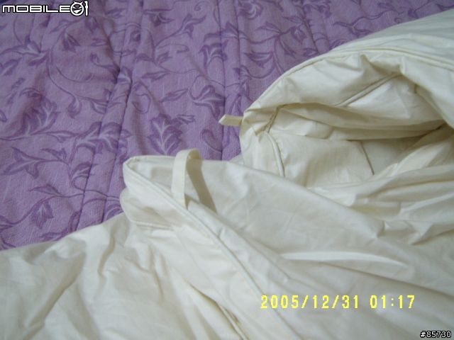寢具精品....波蘭羽絨被...D J 羽絨枕..開箱搶先報