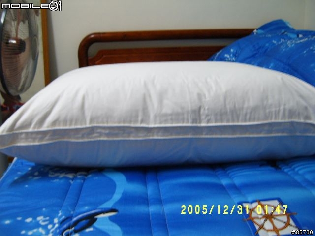 寢具精品....波蘭羽絨被...D J 羽絨枕..開箱搶先報