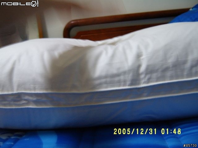 寢具精品....波蘭羽絨被...D J 羽絨枕..開箱搶先報