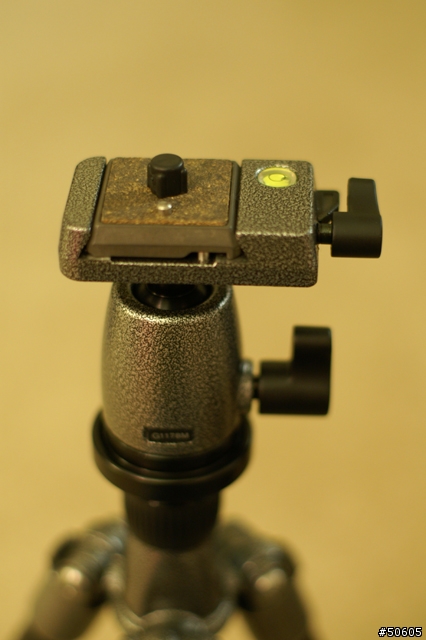 肌肉 G1158T / G1178M / GE10P 入手…