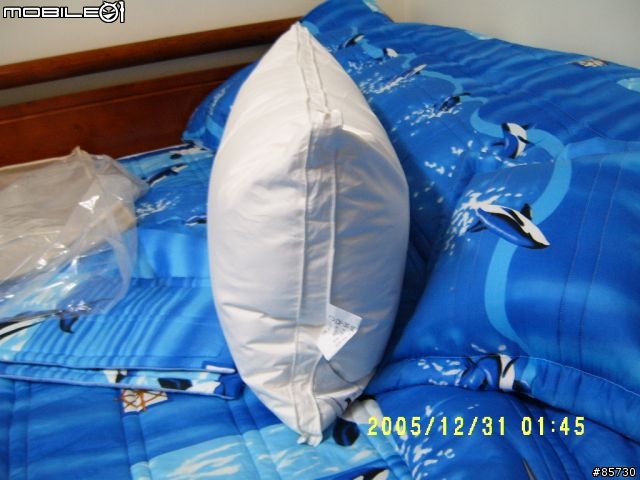 寢具精品....波蘭羽絨被...D J 羽絨枕..開箱搶先報