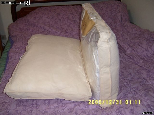 寢具精品....波蘭羽絨被...D J 羽絨枕..開箱搶先報