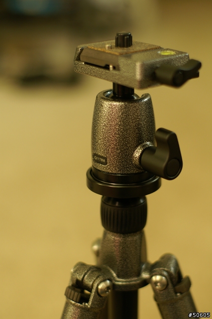 肌肉 G1158T / G1178M / GE10P 入手…