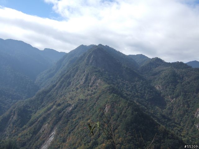 司馬庫斯