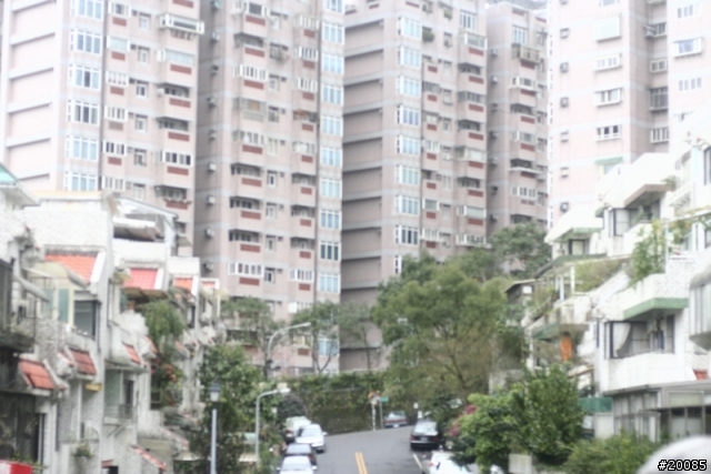 NIKON老鏡回春記(圖多)