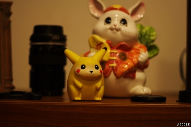 NIKON老鏡回春記(圖多)
