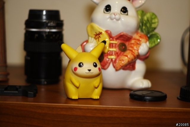 NIKON老鏡回春記(圖多)
