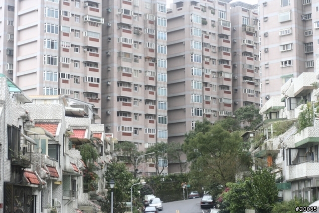 NIKON老鏡回春記(圖多)