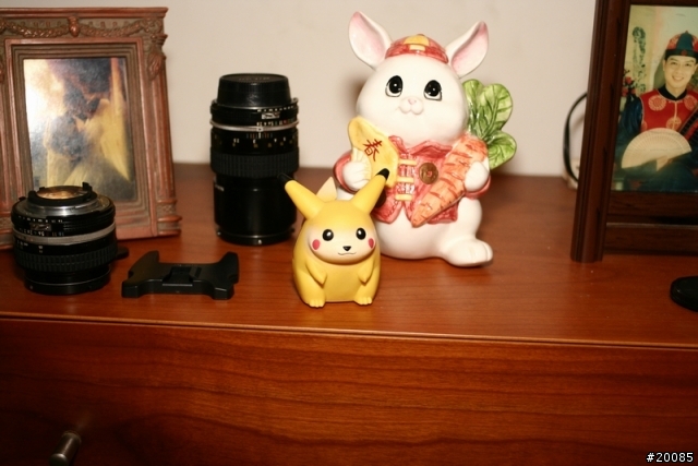 NIKON老鏡回春記(圖多)