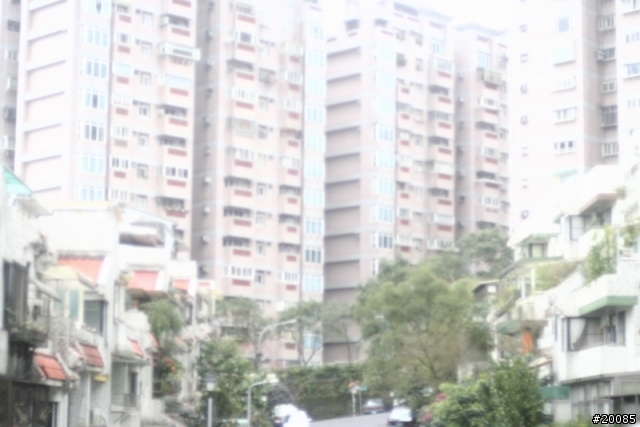 NIKON老鏡回春記(圖多)