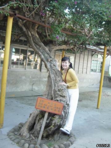 圖多的...嘉義-台南三日遊..及..這輩子吃過最好吃的壽司...民雄佑壽司