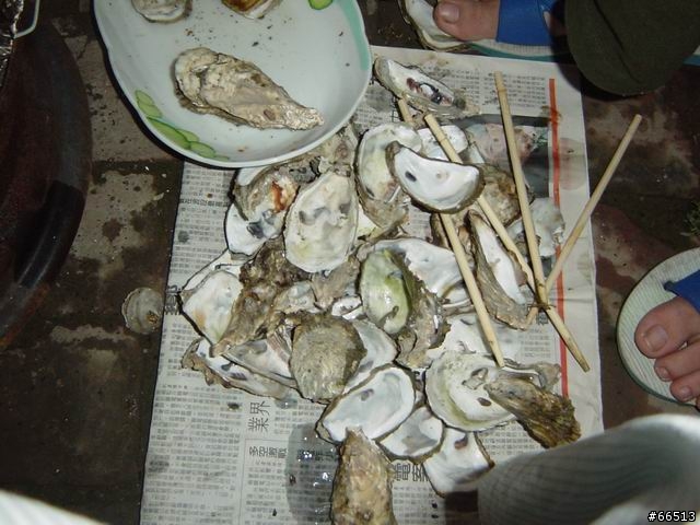 圖多的...嘉義-台南三日遊..及..這輩子吃過最好吃的壽司...民雄佑壽司