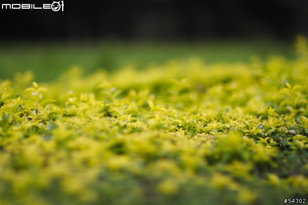 Canon EF 85mm F/1.2 L II USM 開箱 & 非專業試拍