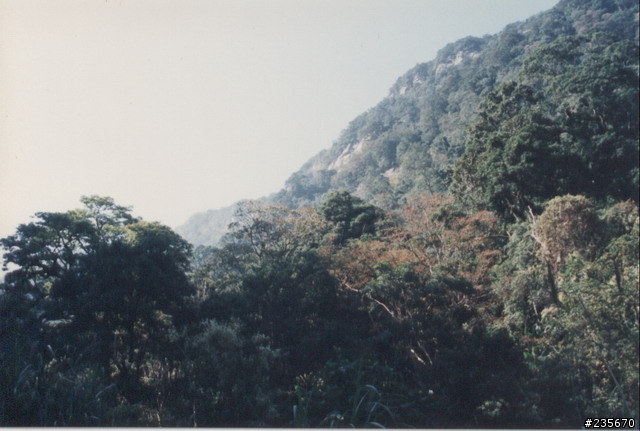 坐擁雲海---松伯山莊