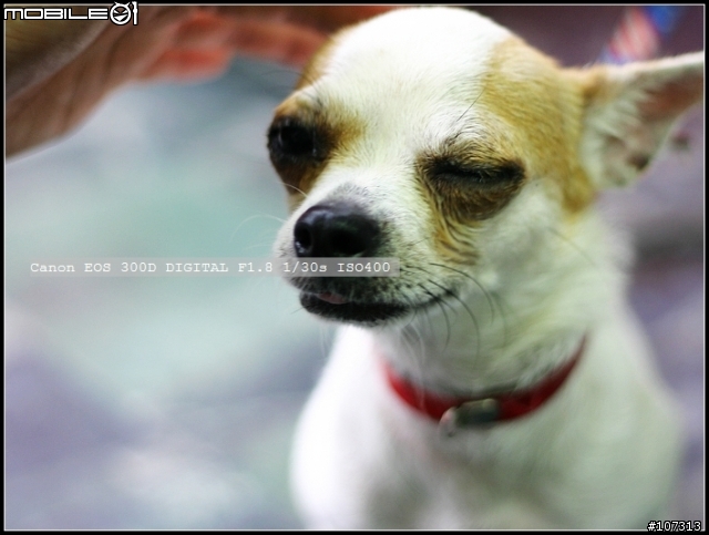 首先感謝這裡的大大的解說~已買300d快一星期~問題~ 50mm F1.8一二代的差別?有放2代拍的人像照?