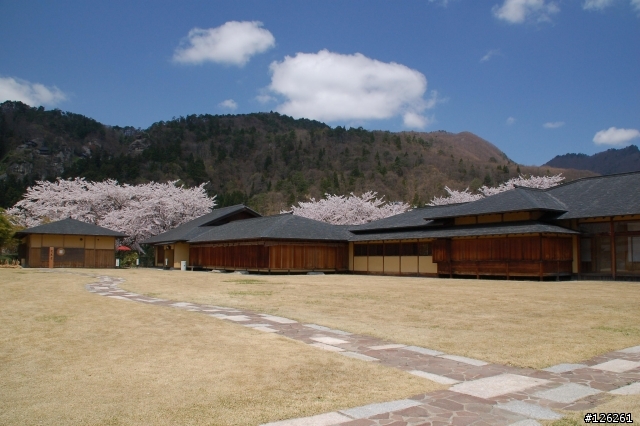 日本東北櫻花之旅(D50+Tamron 18~200)