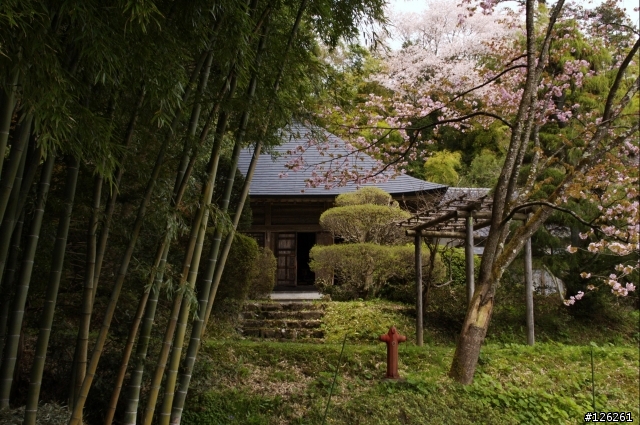 日本東北櫻花之旅(D50+Tamron 18~200)
