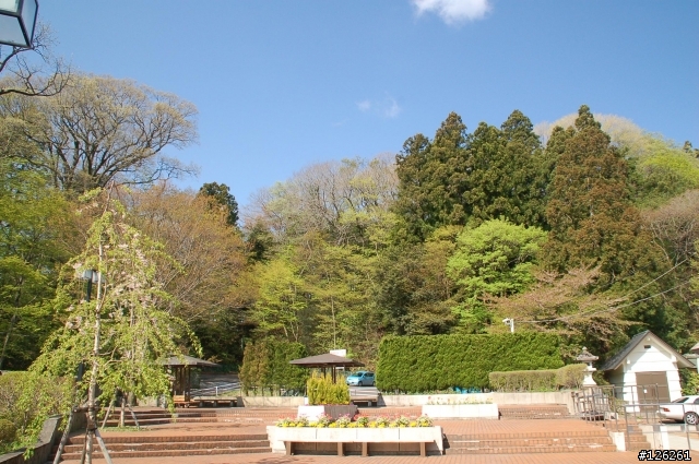 日本東北櫻花之旅(D50+Tamron 18~200)