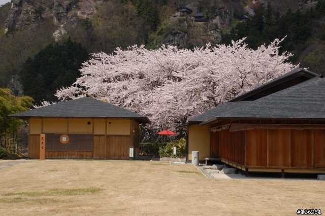 日本東北櫻花之旅(D50+Tamron 18~200)