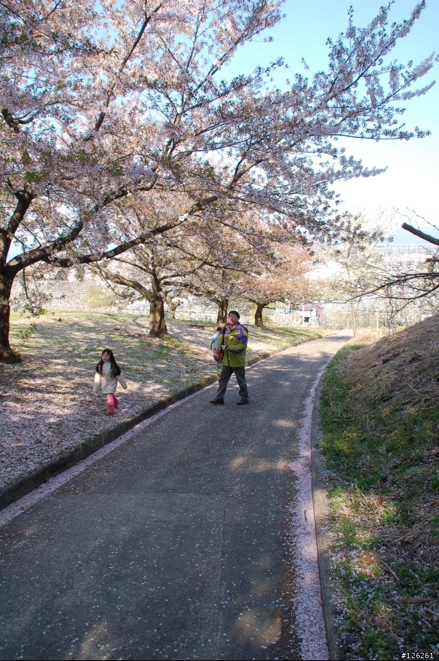 日本東北櫻花之旅(D50+Tamron 18~200)