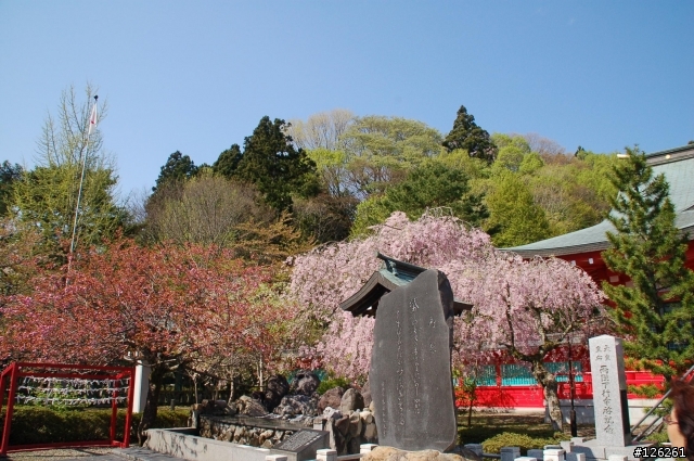 日本東北櫻花之旅(D50+Tamron 18~200)