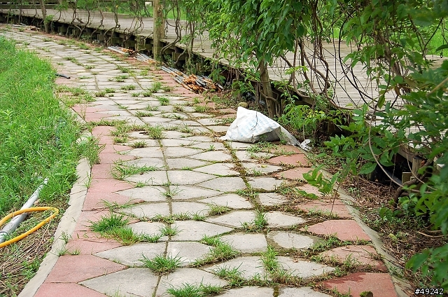 普羅旺斯花卉農場