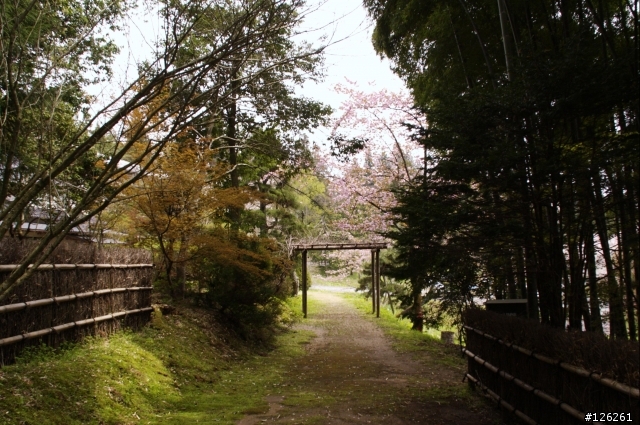 日本東北櫻花之旅(D50+Tamron 18~200)
